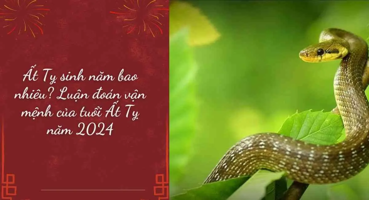 Ất Tỵ sinh năm bao nhiêu? Luận đoán vận mệnh của tuổi Ất Tỵ năm 2024