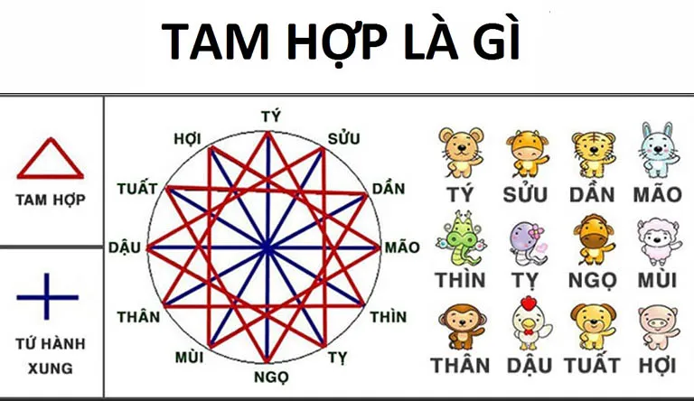 Bộ ba con giáp tam hợp tuổi Thìn: Nhóm bạn ăn ý, làm ăn tấn tới