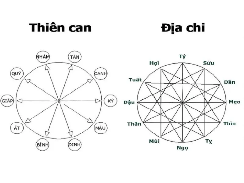 Cách tính tuổi theo năm sinh: Xác định tử vi mỗi người chưa bao giờ dễ đến thế