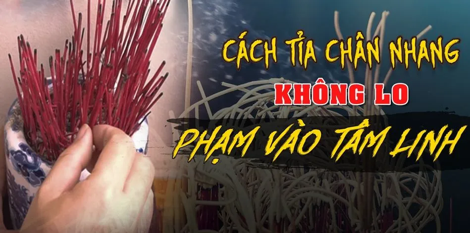 Có nên tỉa chân nhang thường xuyên không? Đại kỵ tránh khi tỉa chân nhang