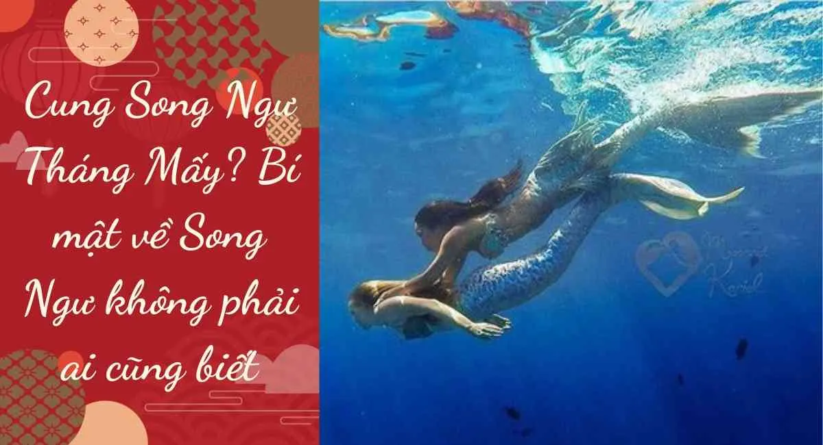 Cung Song Ngư Tháng Mấy? Bí mật về Song Ngư không phải ai cũng biết