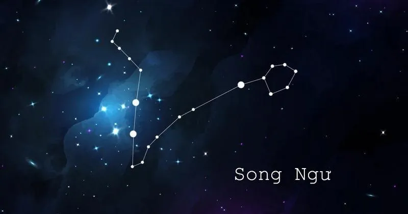 Cung Song Ngư Tháng Mấy? Bí mật về Song Ngư không phải ai cũng biết