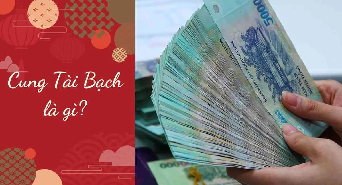 Cung Tài Bạch là gì? Tán gia bại sản hay tiền bạc rủng rỉnh đều do cung này