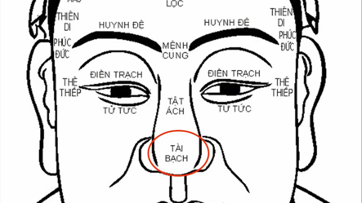 Cung Tài Bạch là gì? Tán gia bại sản hay tiền bạc rủng rỉnh đều do cung này