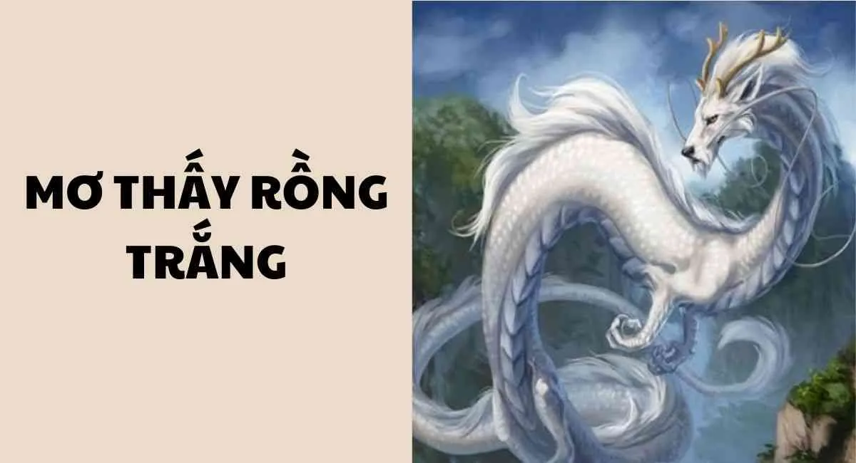 [Giải mã bí ẩn] Nằm mơ thấy rồng trắng thử ngay vận may với bộ số này