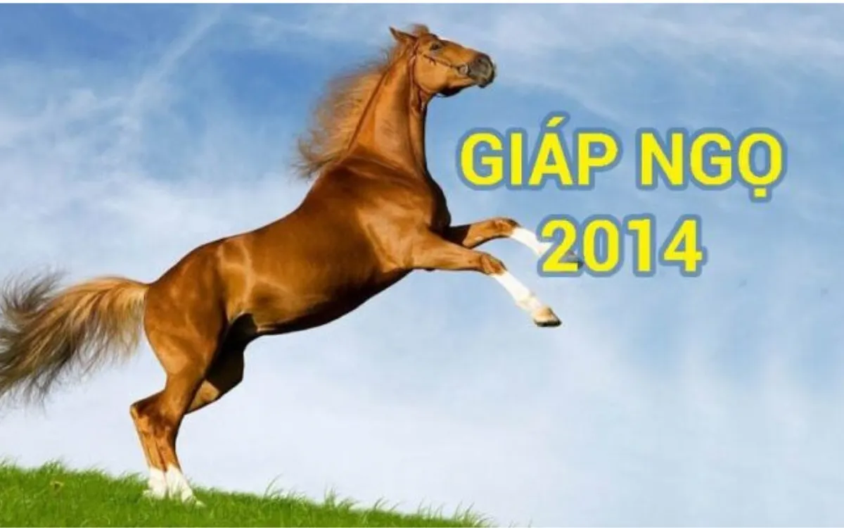 Giáp Ngọ 2014 Mệnh gì? 2014 là năm con gì? Cung Gì, Hợp Màu Gì, Hợp Tuổi Nào?