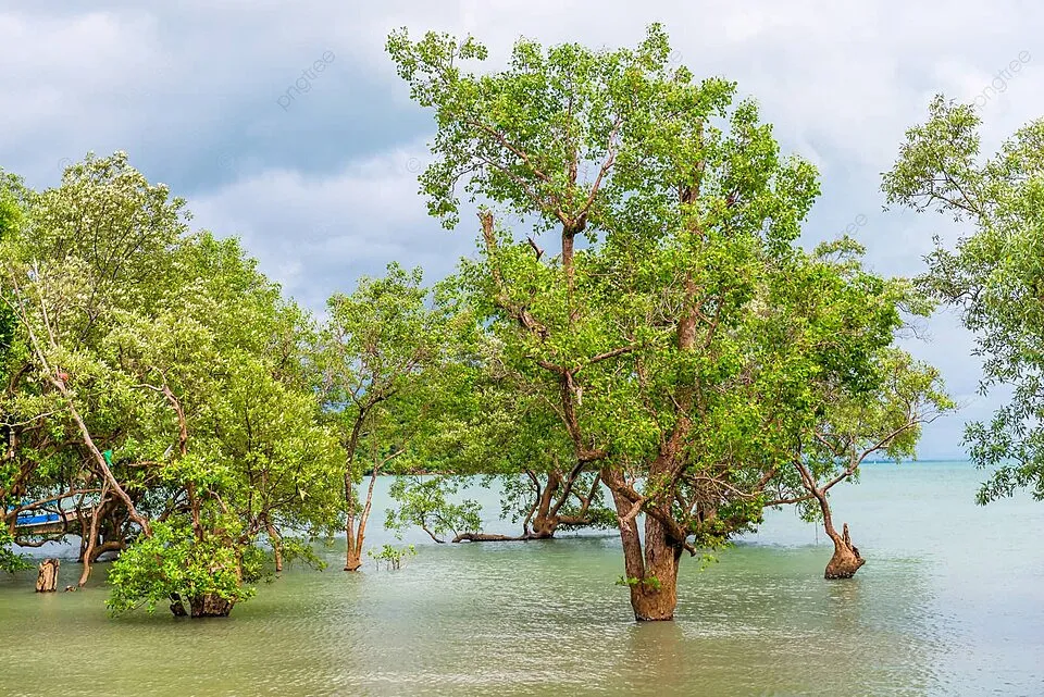 Hành Thủy tương sinh với hành nào trong ngũ hành dễ phát tài, sự nghiệp thăng hoa?