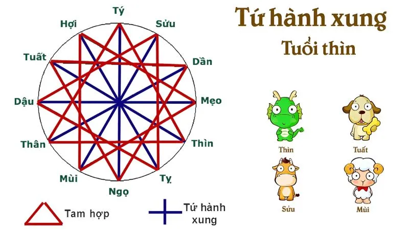 Luận giải tứ hành xung tuổi Thìn: Đừng chủ quan khi kết hợp với con giáp này