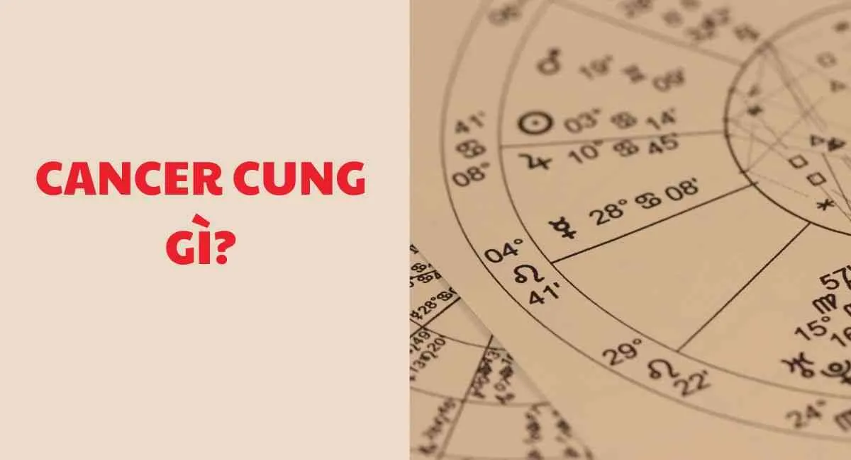 Lý giải cung Cancer cung gì? Cung hoàng đạo có tính cách “trong nóng, ngoài lạnh”