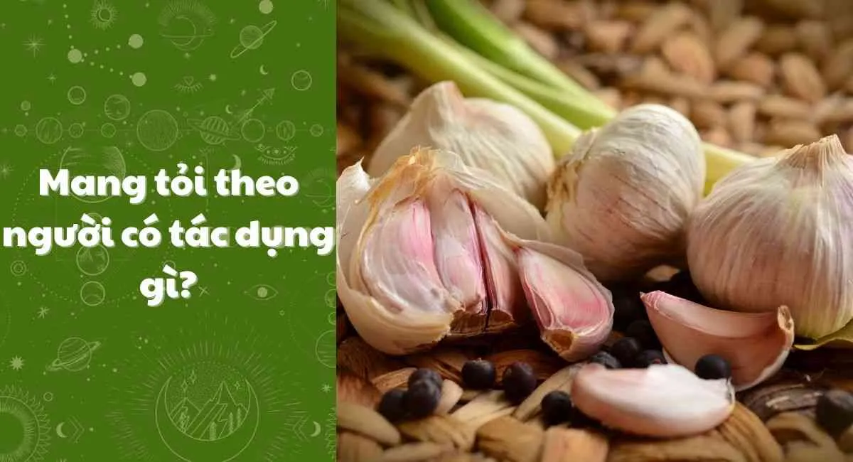 Mang tỏi theo người có tác dụng gì? Những dịp cần mang tỏi theo để tránh rước họa