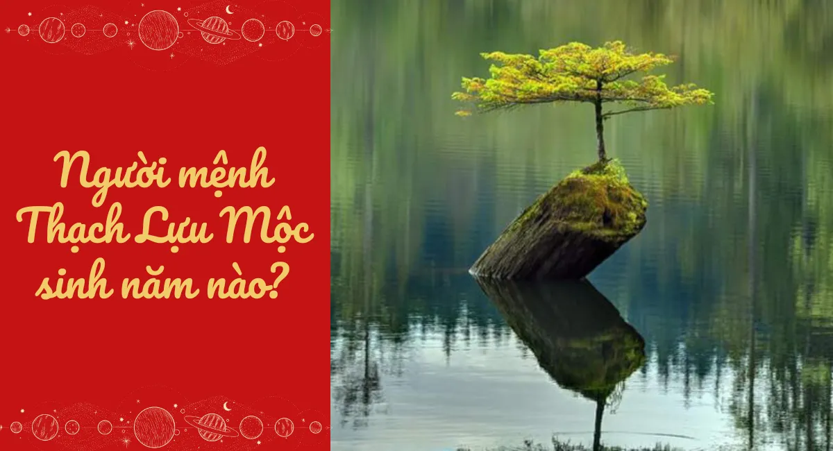 Mệnh thạch lựu mộc là gì? Tài giỏi xuất chúng đến mấy cũng đừng bỏ qua điều này