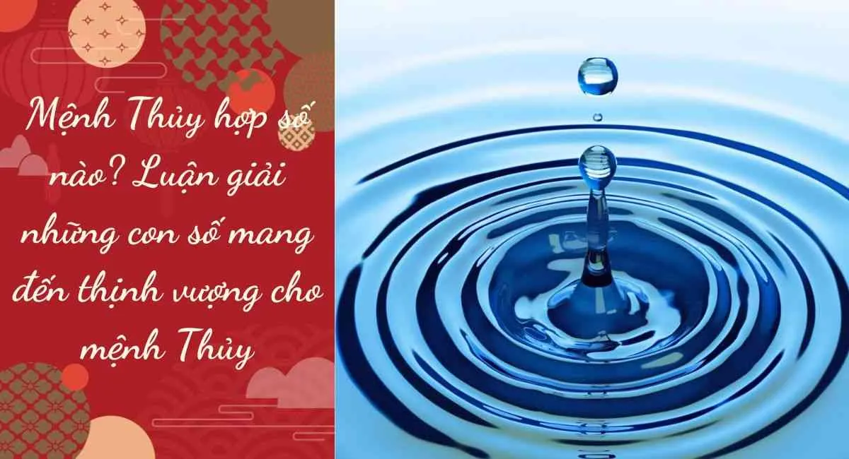 Mệnh Thủy hợp số nào? Luận giải những con số mang đến “thịnh vượng” cho mệnh Thủy