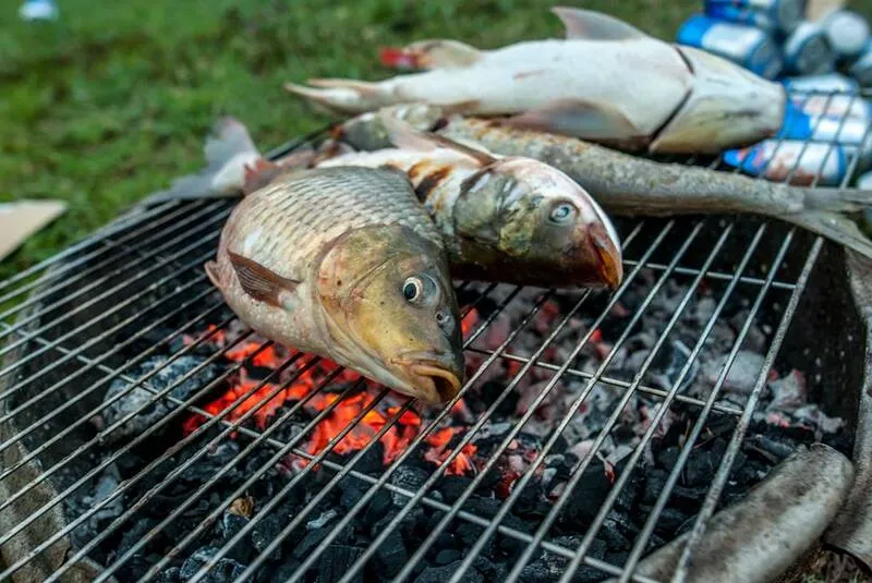 Mơ thấy cá nướng là điềm báo gì? Tài lộc gõ cửa, gia chủ chuẩn tinh thần phát tài