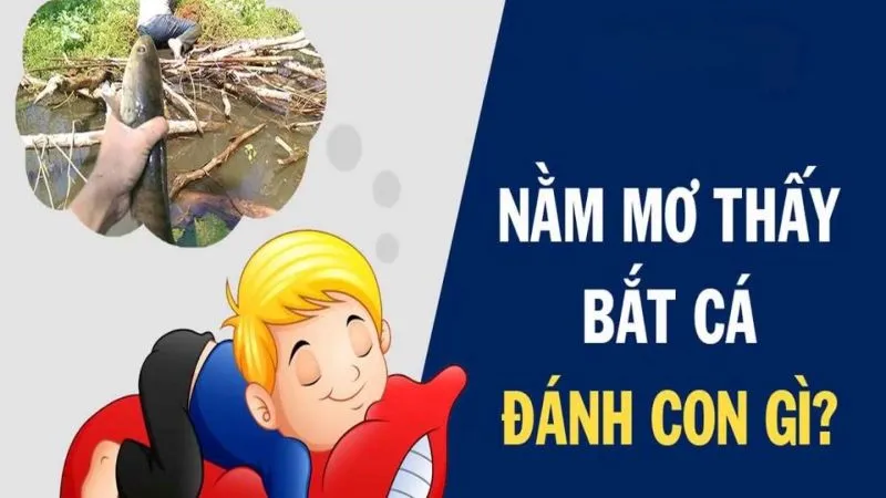 Nằm mơ thấy cá đánh con gì? Nhanh tay đánh ngay số này để hốt tiền về túi