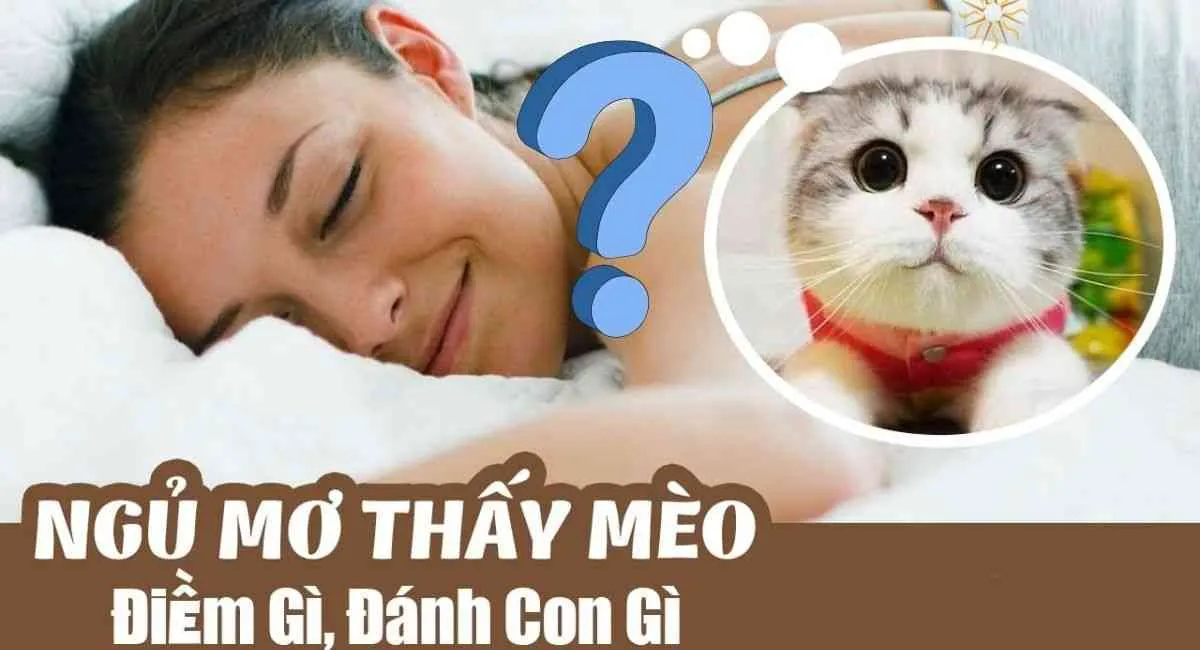 Nằm mơ thấy mèo đánh con gì? Đừng bỏ lỡ cơ hội với những con số may mắn