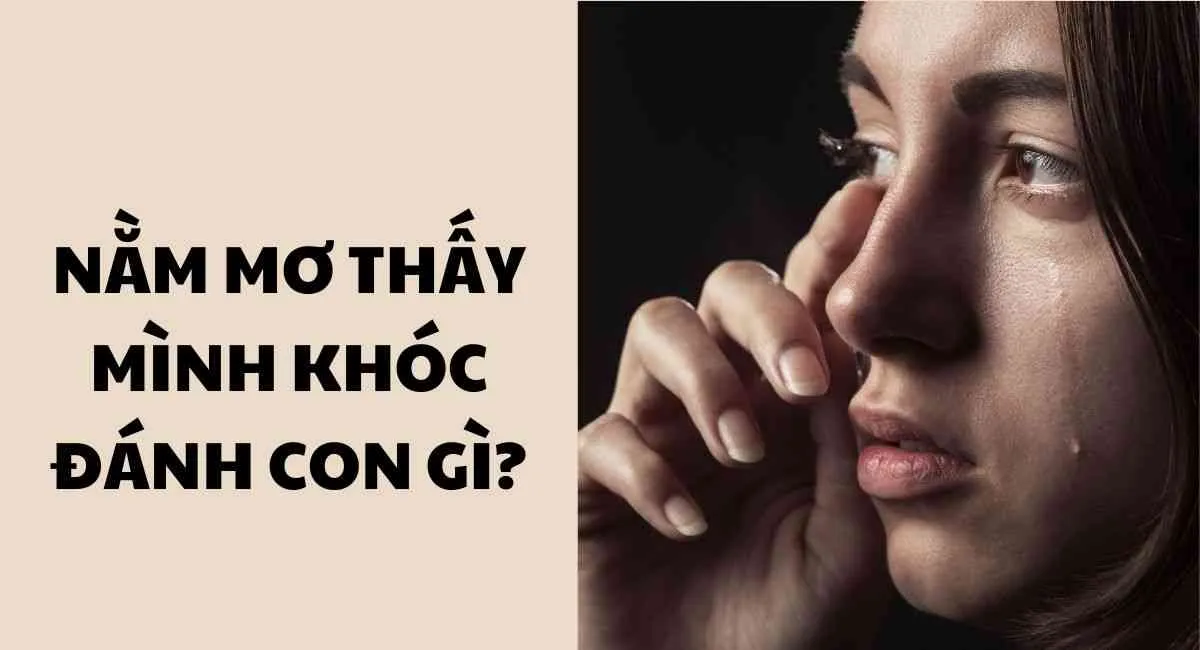 Nằm mơ thấy mình khóc đánh con gì? Bộ những con số đánh dễ trúng nhất