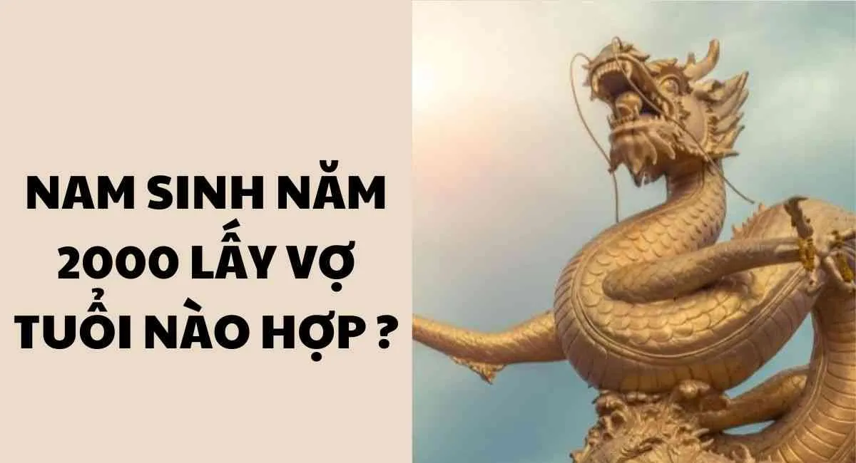 Nam tuổi thìn 2000 hợp với tuổi nào? lấy vợ tuổi nào đại kỵ?