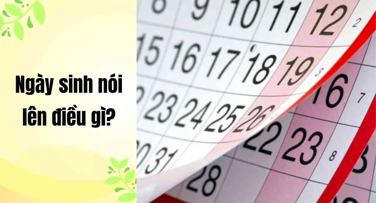 Ngày sinh nói lên điều gì? Sức khoẻ ổn định, sự nghiệp đi lên nếu biết điều này sớm