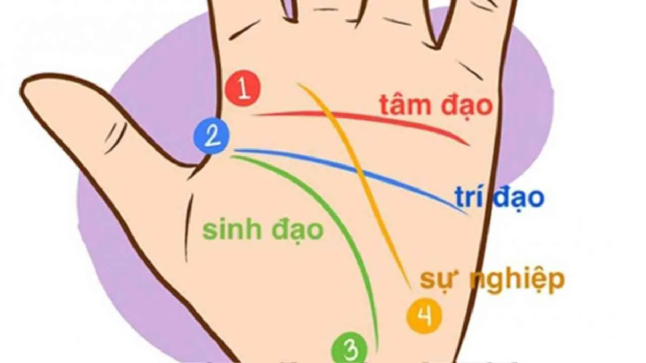 Những đường chỉ tay không nên có khiến cuộc sống khó khăn đủ đường