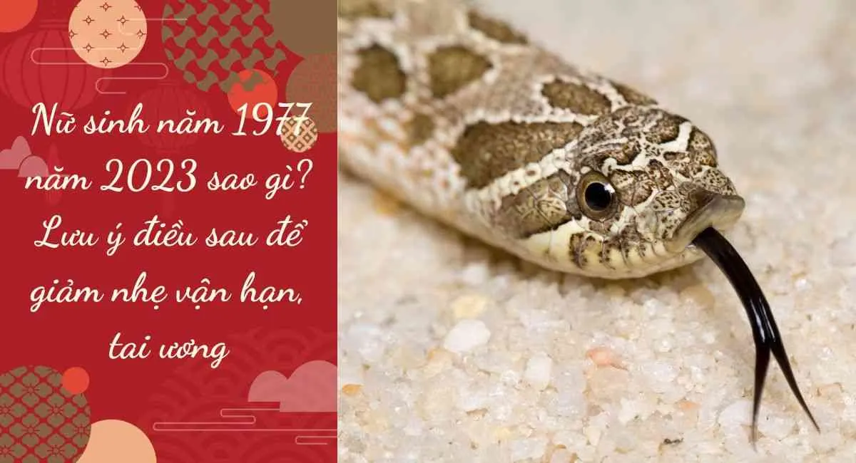 Nữ sinh năm 1977 năm 2023 sao gì? Lưu ý những điều sau để giảm nhẹ vận hạn, tai ương