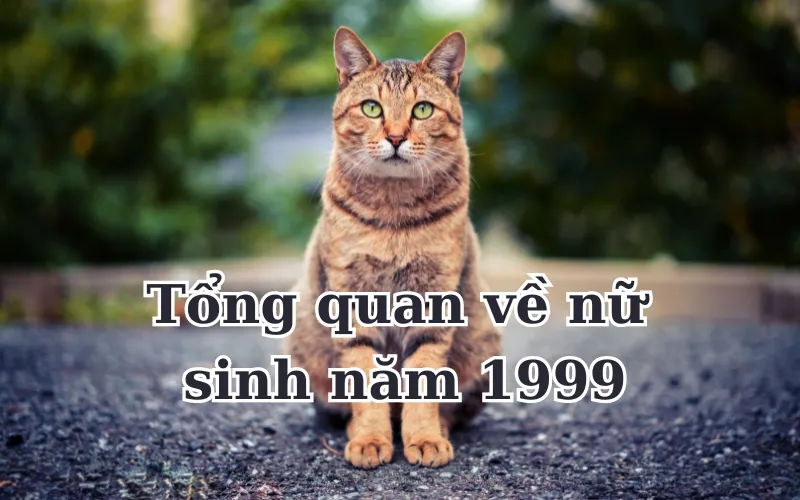 Nữ sinh năm 1999 lấy chồng tuổi nào thì hợp nhất – làm ăn lên, hạnh phúc?