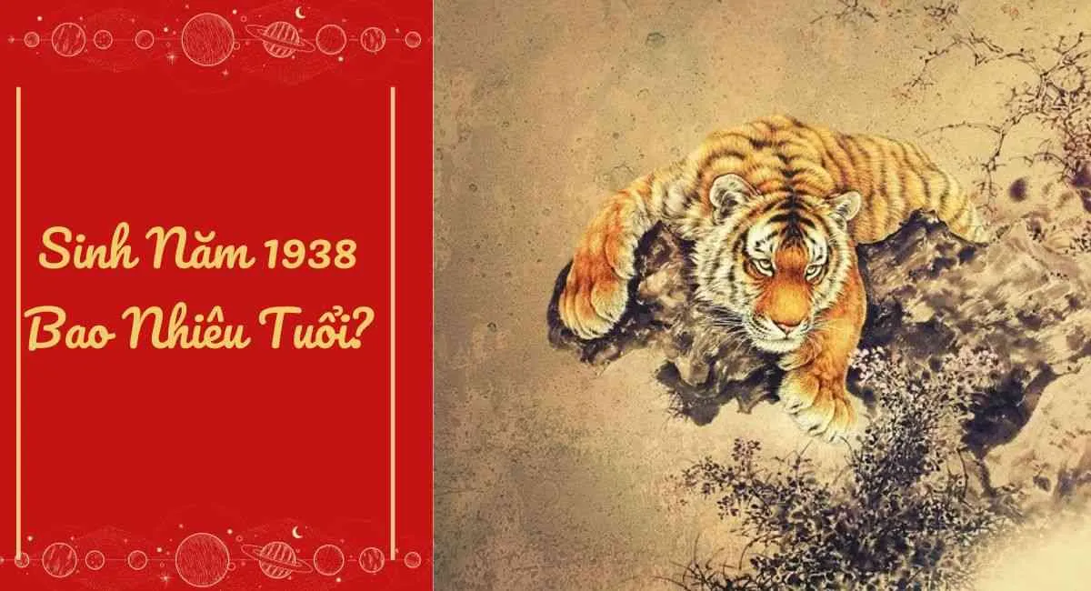 Sinh Năm 1938 Bao Nhiêu Tuổi? Mệnh gì? Cung gì? Tuổi con gì?