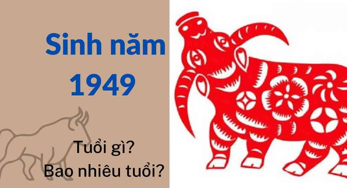 Sinh Năm 1949 Bao Nhiêu Tuổi? Mệnh gì? Cung gì? Tuổi con gì?