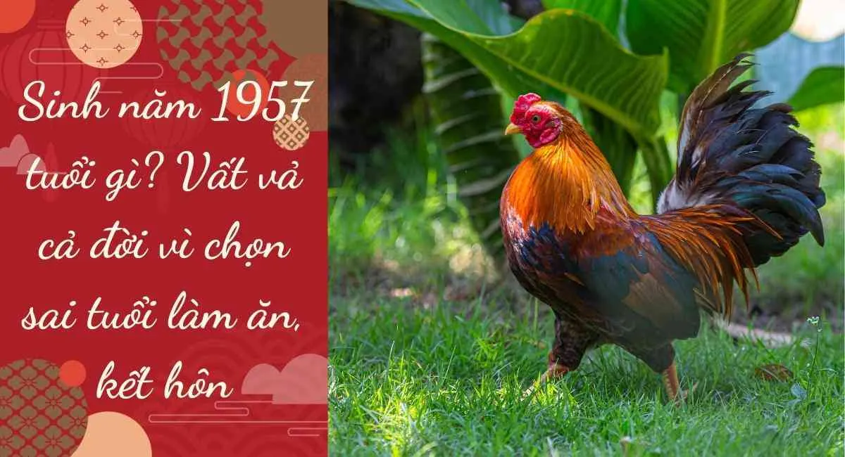 Sinh Năm 1957 Bao Nhiêu Tuổi? Mệnh gì? Cung gì? Tuổi con gì?