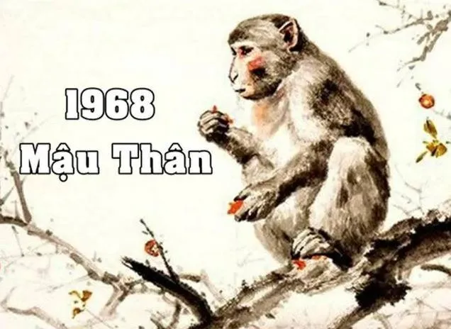 Sinh năm 1968 mệnh gì? Đặc điểm tử vi, cuộc đời người sinh năm 1968