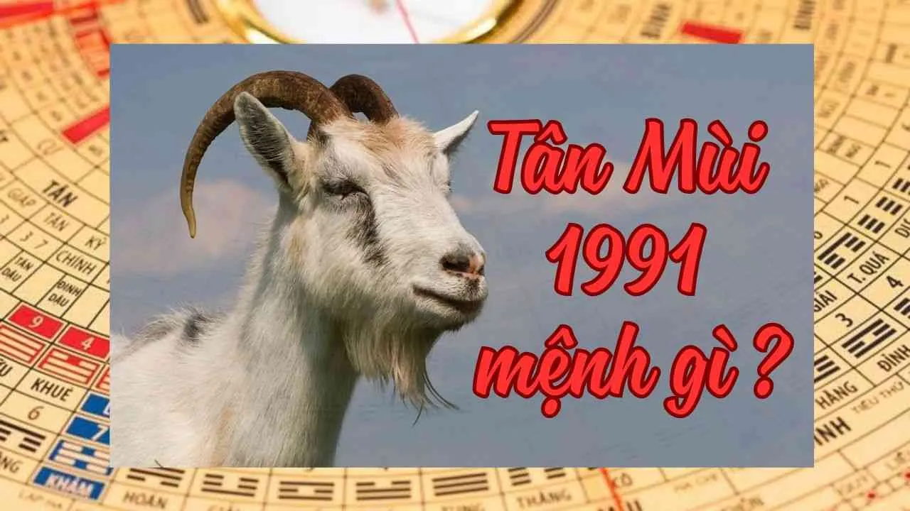 Sinh năm 1991 Mệnh gì? Hợp màu sắc nào và tuổi con gì? Kỵ hướng nào?