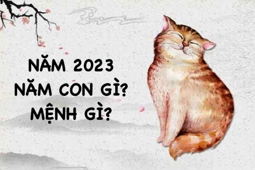 Sinh năm 2023 mệnh gì, năm con gì, hợp tuổi nào sẽ may mắn?