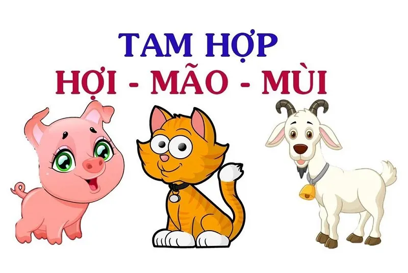 Tam hợp với tuổi Hợi: 02 con giáp này giúp người tuổi Hợi vạn sự an khang