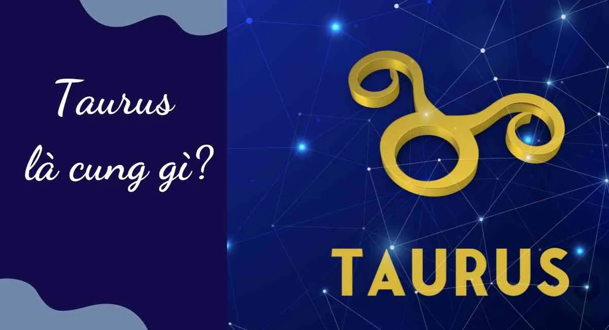 Taurus là cung gì? Giải mã từ A-Z về cung hoàng đạo ấm áp, nhiệt tình nhất