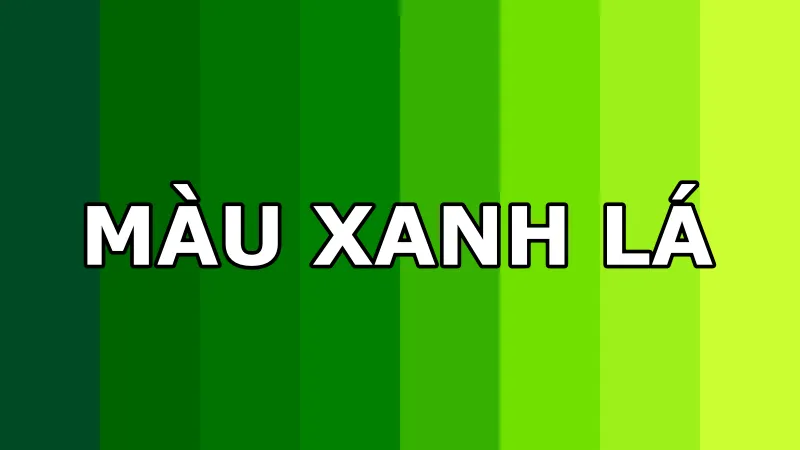 Thần số học số 5 tình duyên: Con người tự do, không thích sự ràng buộc