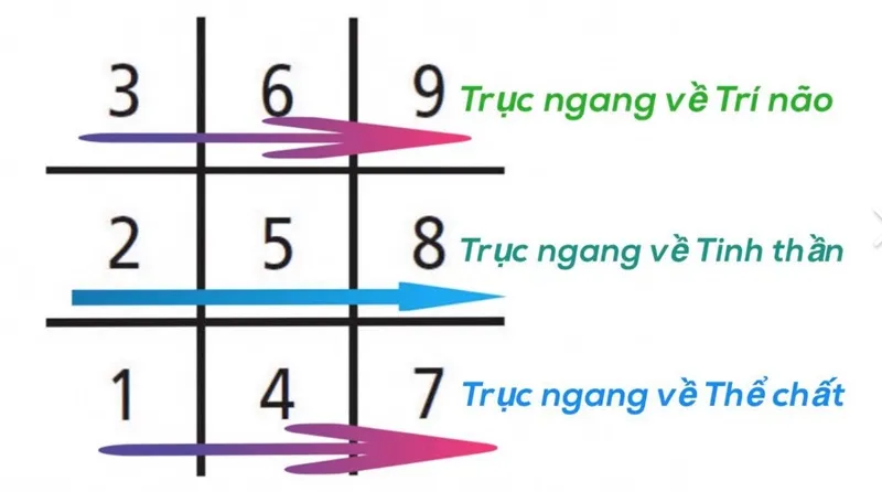 Các mũi tên trong thần số học mô tả sự đa dạng và tác động của từng hình thái mũi tên