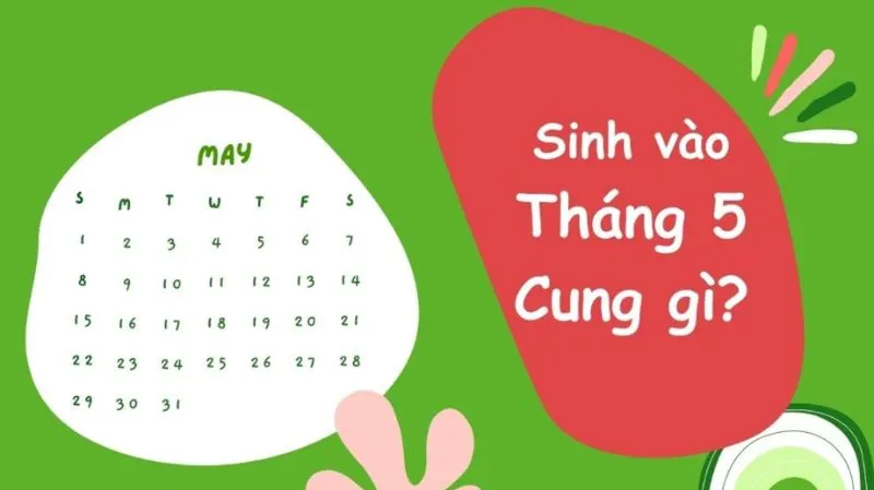 Tháng 5 cung gì? Tính cách, định hướng nghề nghiệp, hợp với cung nào chi tiết