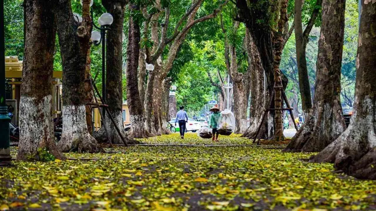 Tiết Bạch Lộ: Biết sớm lúc nào, sự nghiệp lên lúc đó, thời đến cản không kịp