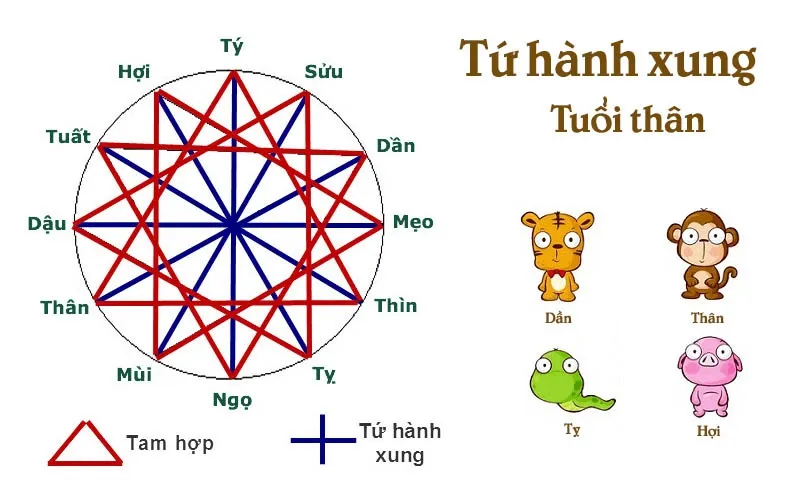 Tứ hành xung tuổi Thân là gì? Chớ bất cẩn kẻo tai ương kéo đến tránh không kịp