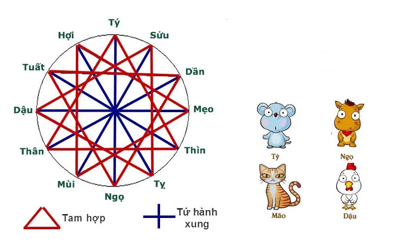 Tứ hành xung tuổi Tý là những tuổi nào? Xem ngay để biết họa mà tránh