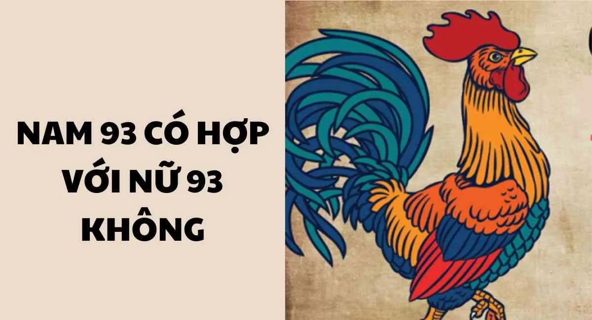 Tử vi nam 93 có hợp với nữ 93 không? Người bạn đời lý tưởng hay xung khắc cần tránh