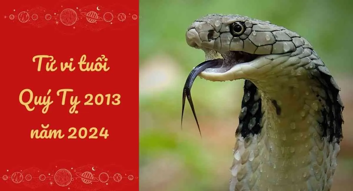 Tử vi tuổi Quý Tỵ 2013 năm 2024 nữ mạng, nam mạng: Hưởng phúc lộc từ gia đình