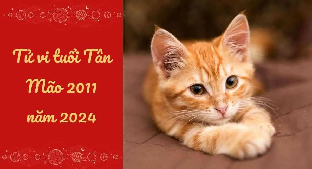 Tử vi tuổi Tân Mão 2011 năm 2024 nữ mạng, nam mạng: gia đình xung đột liên miên