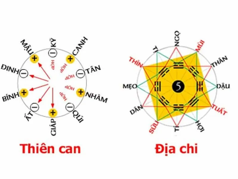 Tuổi Ất Tỵ kết hôn năm nào thì hôn nhân viên mãn? Giải đáp chính xác theo phong thủy