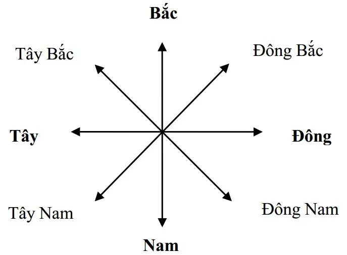 Tuổi Đinh Dậu xuất hành hướng nào? Hướng xuất hành tuổi Đinh Dậu năm 2024 chuẩn nhất