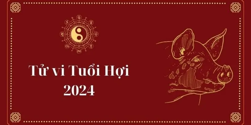 Tuổi Hợi năm 2024 sao gì? Cẩn thận một năm hao tán tài của, bệnh tật liên miên