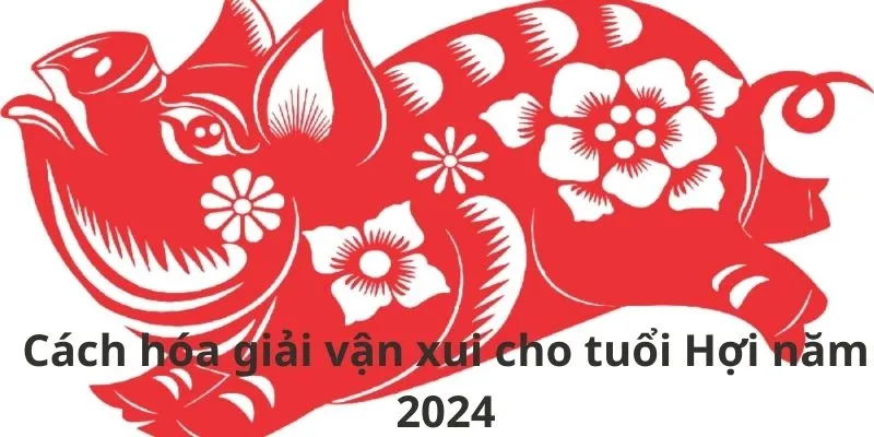 Tuổi Hợi năm 2024 sao gì? Cẩn thận một năm hao tán tài của, bệnh tật liên miên