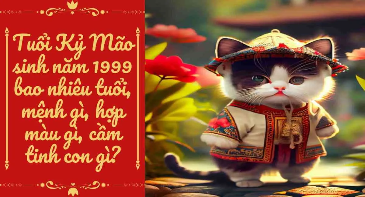 Tuổi Kỷ Mão 1999 Bao Nhiêu Tuổi Cung Gì, Hợp Màu Gì, Hợp Tuổi Nào?