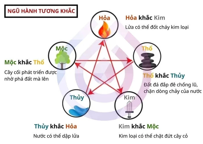 Tuổi Mão mạng gì? Luận giải tính cách của người tuổi Mão chính xác nhất