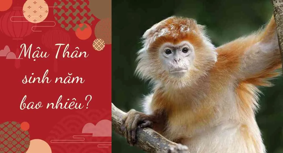 Tuổi Mậu Thân sinh năm bao nhiêu? Nên đeo gì để may mắn, tài lộc?