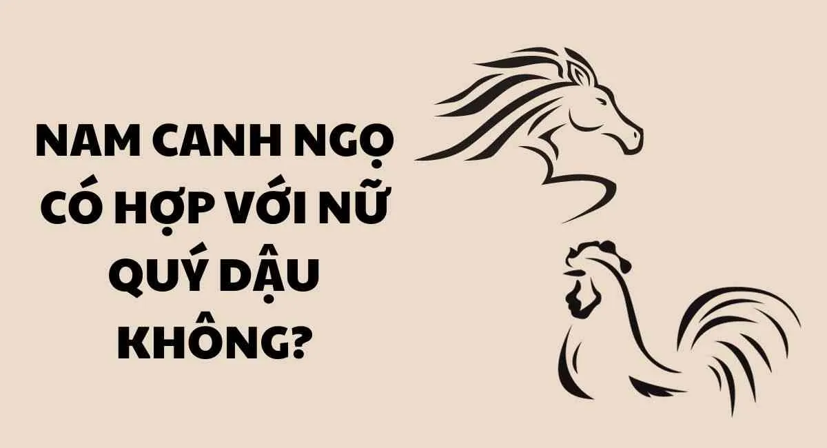 Tuổi nam Canh Ngọ có hợp với nữ Qúy Dậu không? Chấm điểm mức độ hòa hợp của 2 con giáp